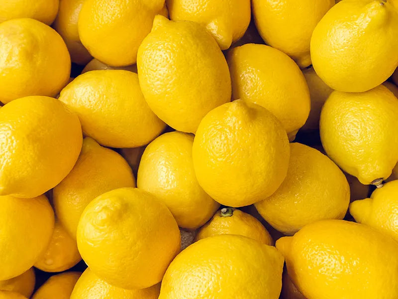 Sweet Lemon (Ujukitsu type) Plant Live Nimbu Tree Kagzi Lemon Citrus Limon Fruit Plant