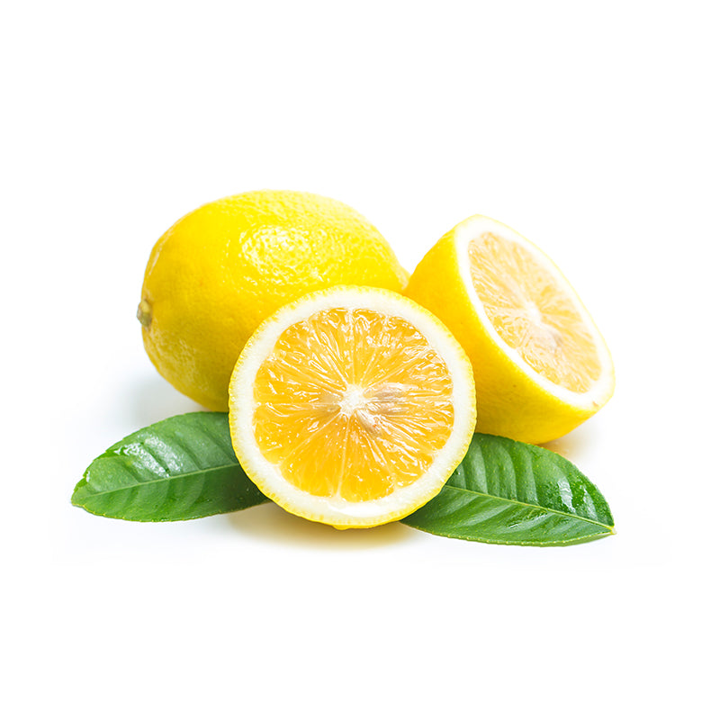 Sweet Lemon (Ujukitsu type) Plant Live Nimbu Tree Kagzi Lemon Citrus Limon Fruit Plant