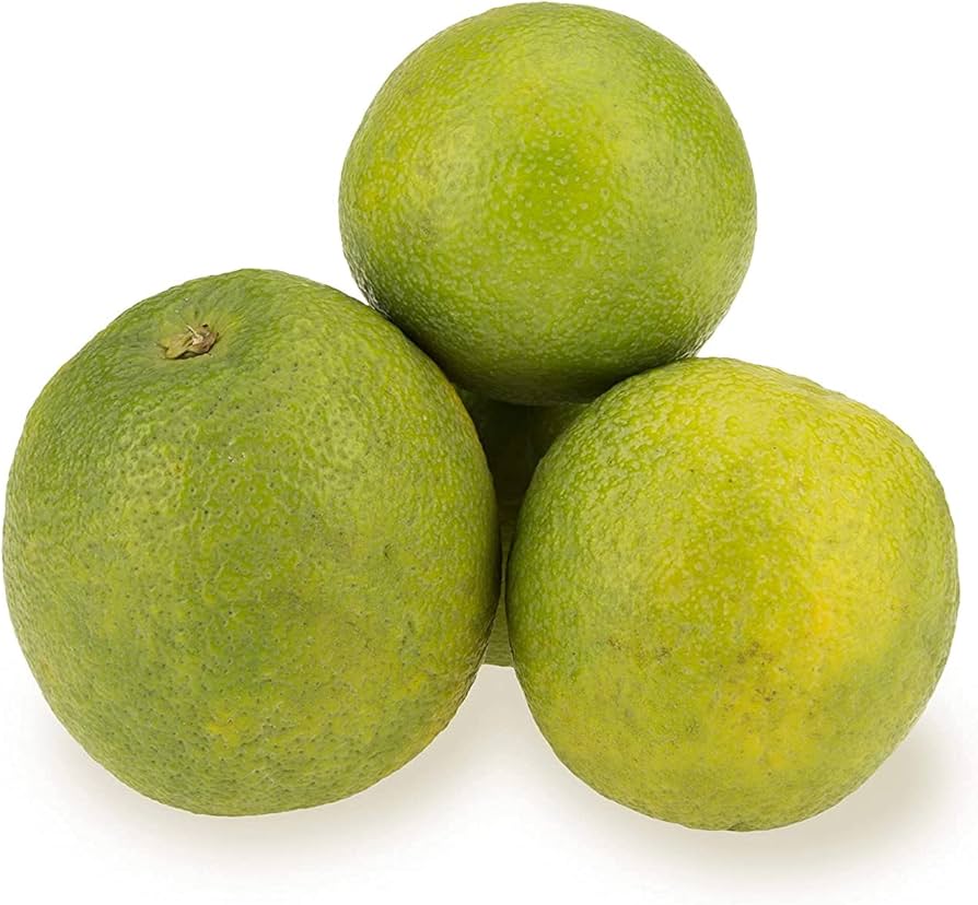 Sweet Lime Mosambi Type Plant Live Nimbu Tree Kagzi Lemon Citrus Limon Fruit Plant
