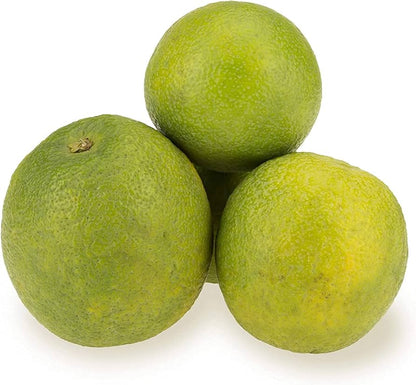 Sweet Lime Mosambi Type Plant Live Nimbu Tree Kagzi Lemon Citrus Limon Fruit Plant