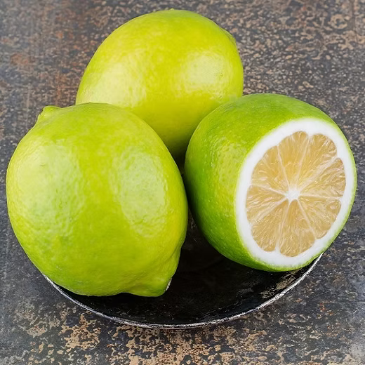 Sweet Lime Mosambi Type Plant Live Nimbu Tree Kagzi Lemon Citrus Limon Fruit Plant