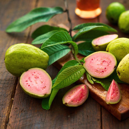 Tapti Pink Guava Air Layered Healthy Fruit Plant