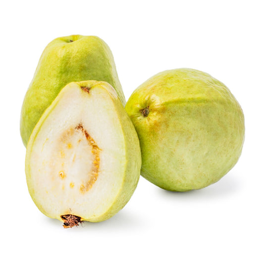 Thai Pearl Guava Air Layered Healthy Fruit Plant