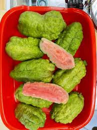 Thai Ruby Guava Air Layered Healthy Fruit Plant