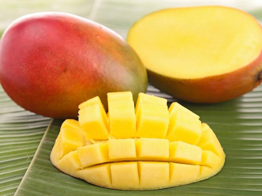 Tolbert Mango Aam Grafted Healthy Fruit Plant