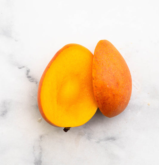 Torbert Mango Aam Grafted Healthy Fruit Plant