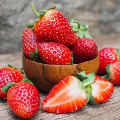 Tristar Strawberry Healthy Sweet Home Garden Kitchen Garden Terrace Balcony Fruit Plant