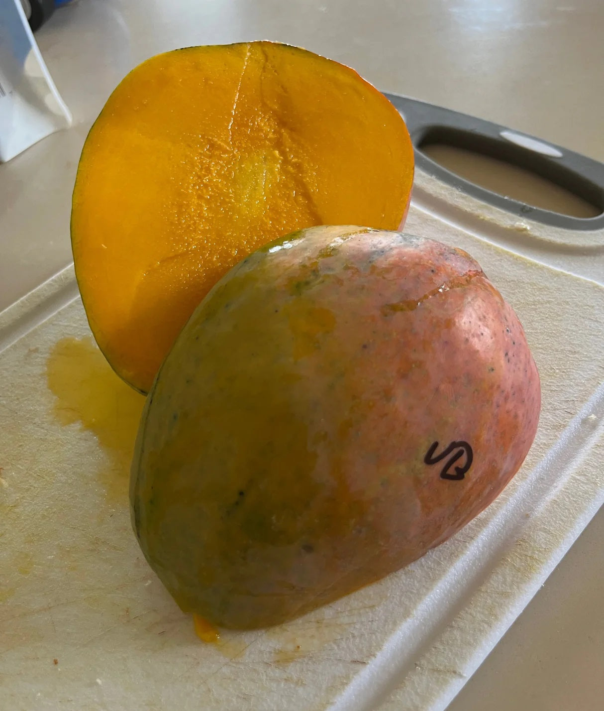 Ugly Betty Mango Aam Grafted Healthy Fruit Plant