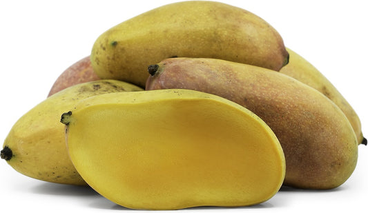 Valencia Pride Mango Aam Grafted Healthy Fruit Plant