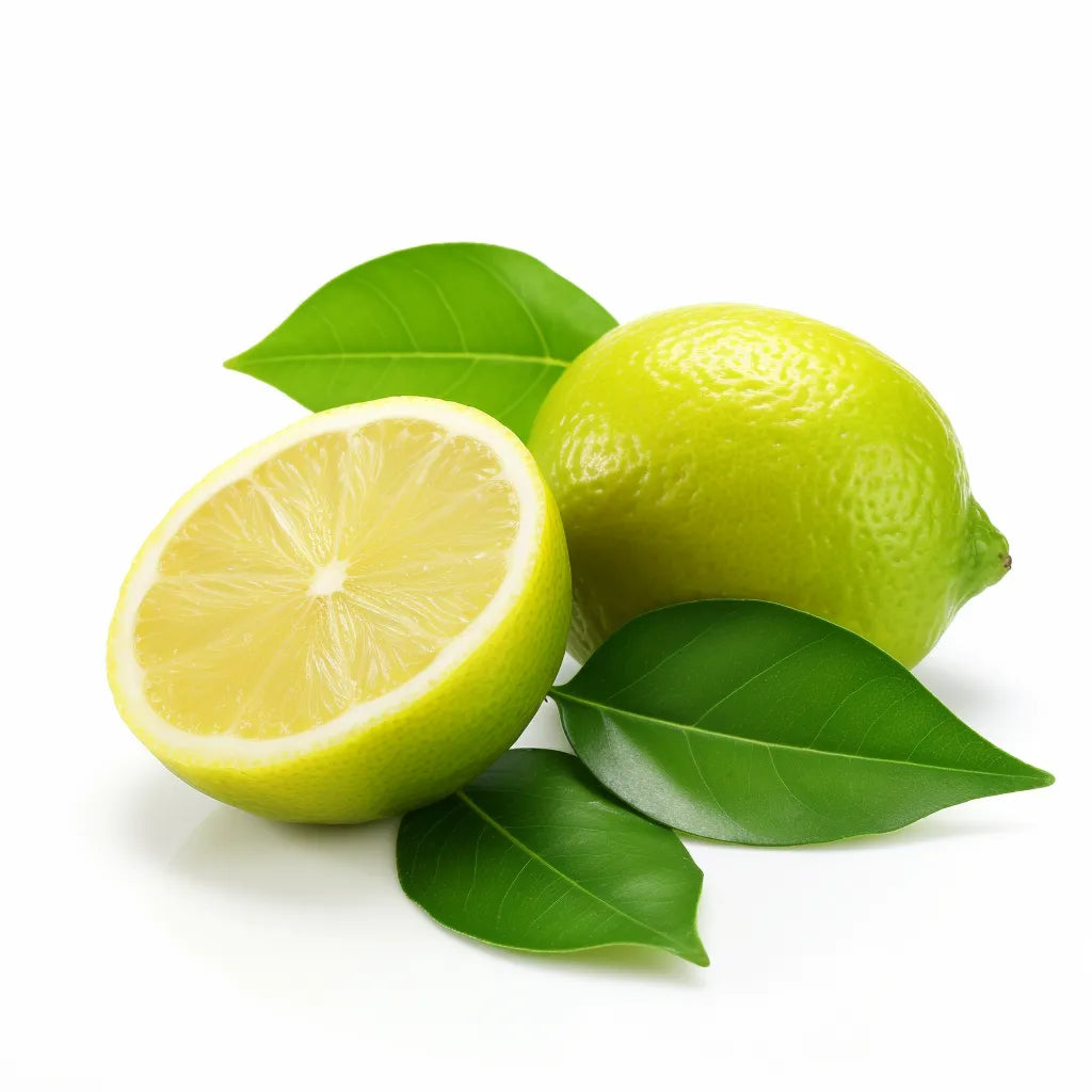 Villafranca Lemon Plant Live Nimbu Tree Kagzi Lemon Citrus Limon Fruit Plant