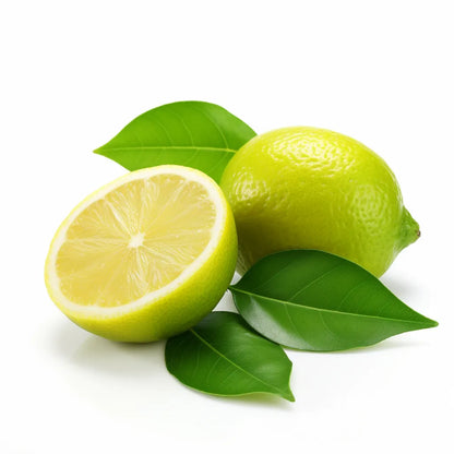 Villafranca Lemon Plant Live Nimbu Tree Kagzi Lemon Citrus Limon Fruit Plant