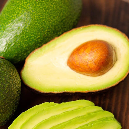 Waldin Avocado Grafted Healthy Fruit Plant