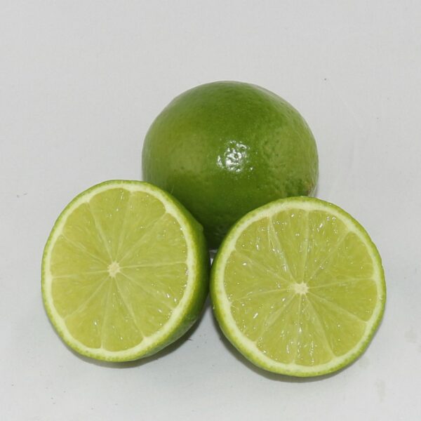 West Indian Lime Plant Live Nimbu Tree Kagzi Lemon Citrus Limon Fruit Plant