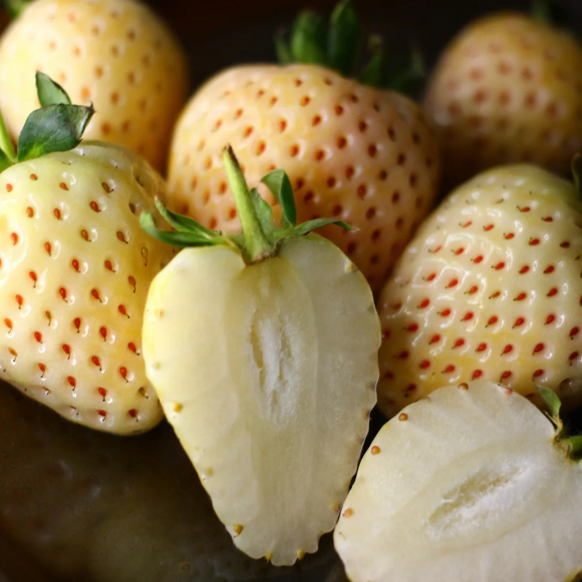 White Soul Strawberry Healthy Sweet Home Garden Kitchen Garden Terrace Balcony Fruit Plant