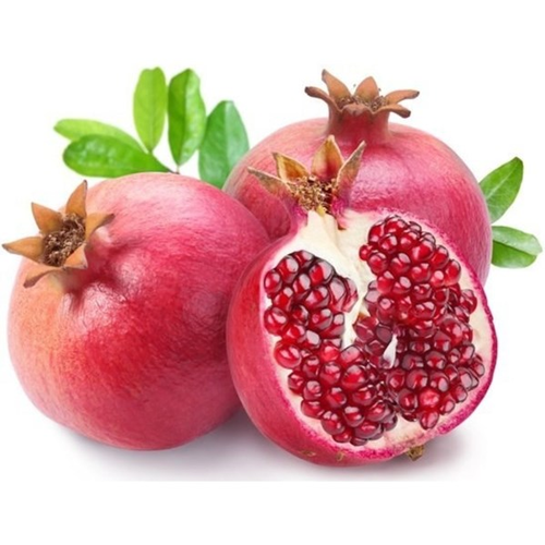 Yercaud Pomegranate Grafted Fruit Plant – High Yielding Sweet Juicy Anar Tree Variety