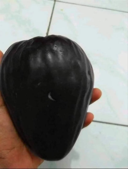 Thai KG 10 Black Jamun Jambolan Jam Grafted Fruit Plant